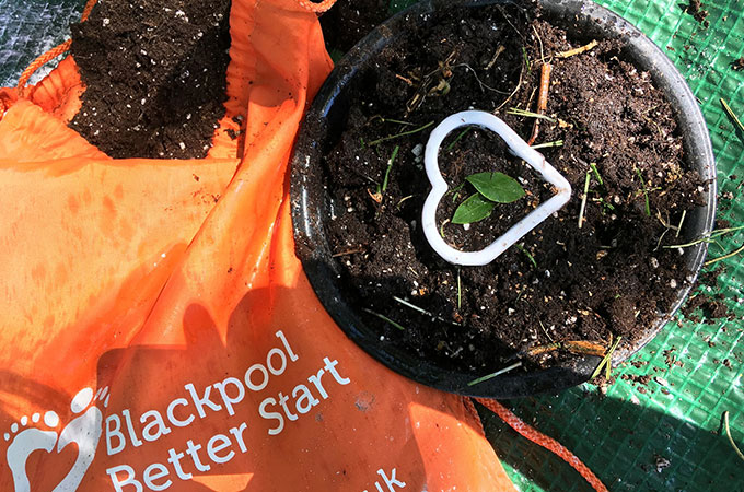 Potting plants at Claremont Park